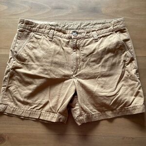 Chubbies Shorts